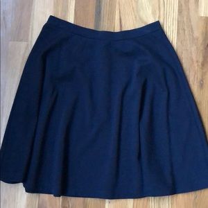 Navy Blue Skirt